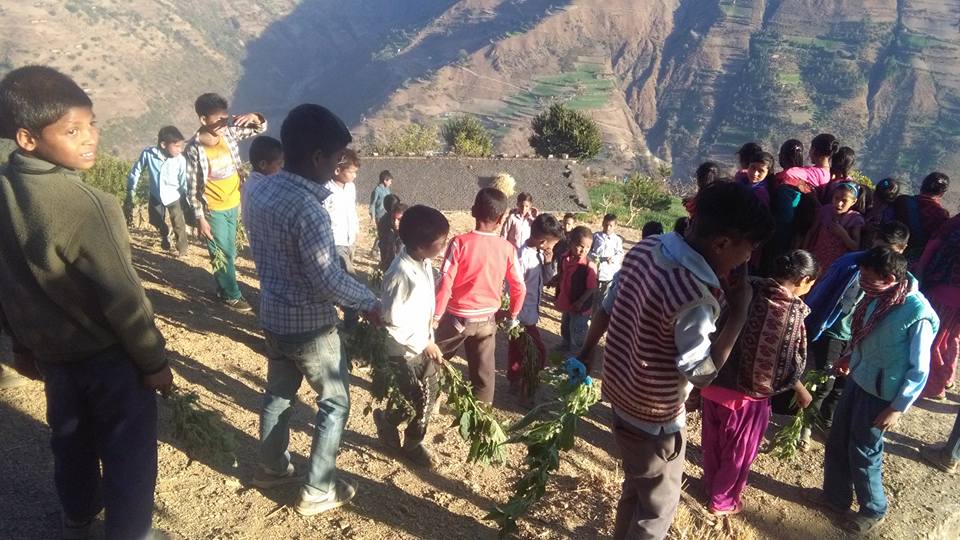 सिस्नु हानाहान गरेर माघी
