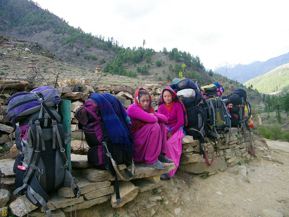 चुनाव छाडेर छुमचौरवासी यार्सा टिप्न लागे पाटनतिर ‘भोट हालेर के हामीलाई वर्षभरी खान पुग्ने पैसा दिन्छन् र ?