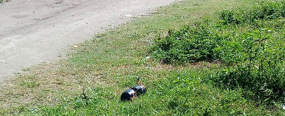 विर्तामोडमा तीन ठाउँमा बम फेला