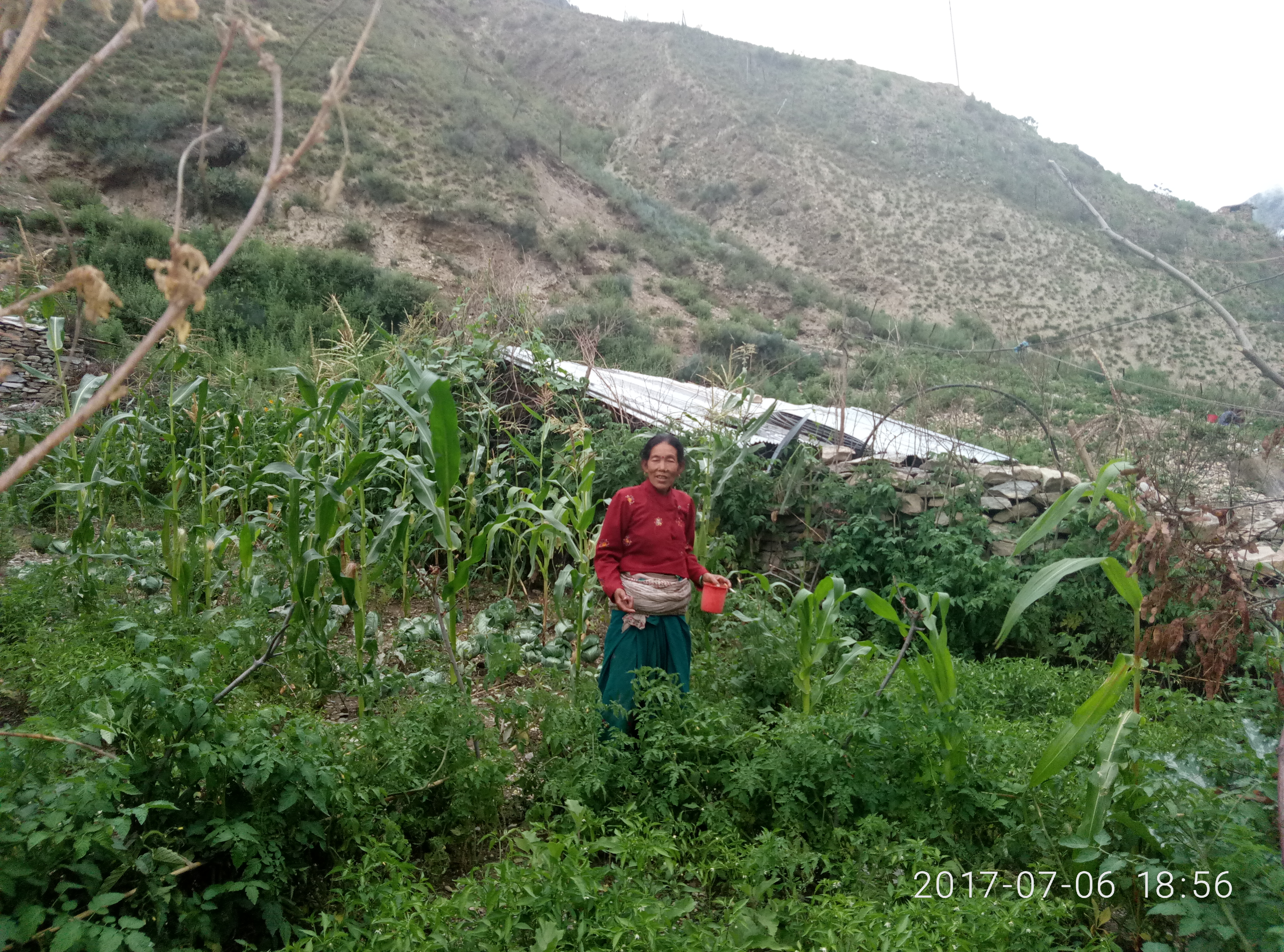 रिलायवल माईक्रोफाईनाईन्सको कर्जाबाट व्यबसायिक बन्दै डोल्पाली कृषक