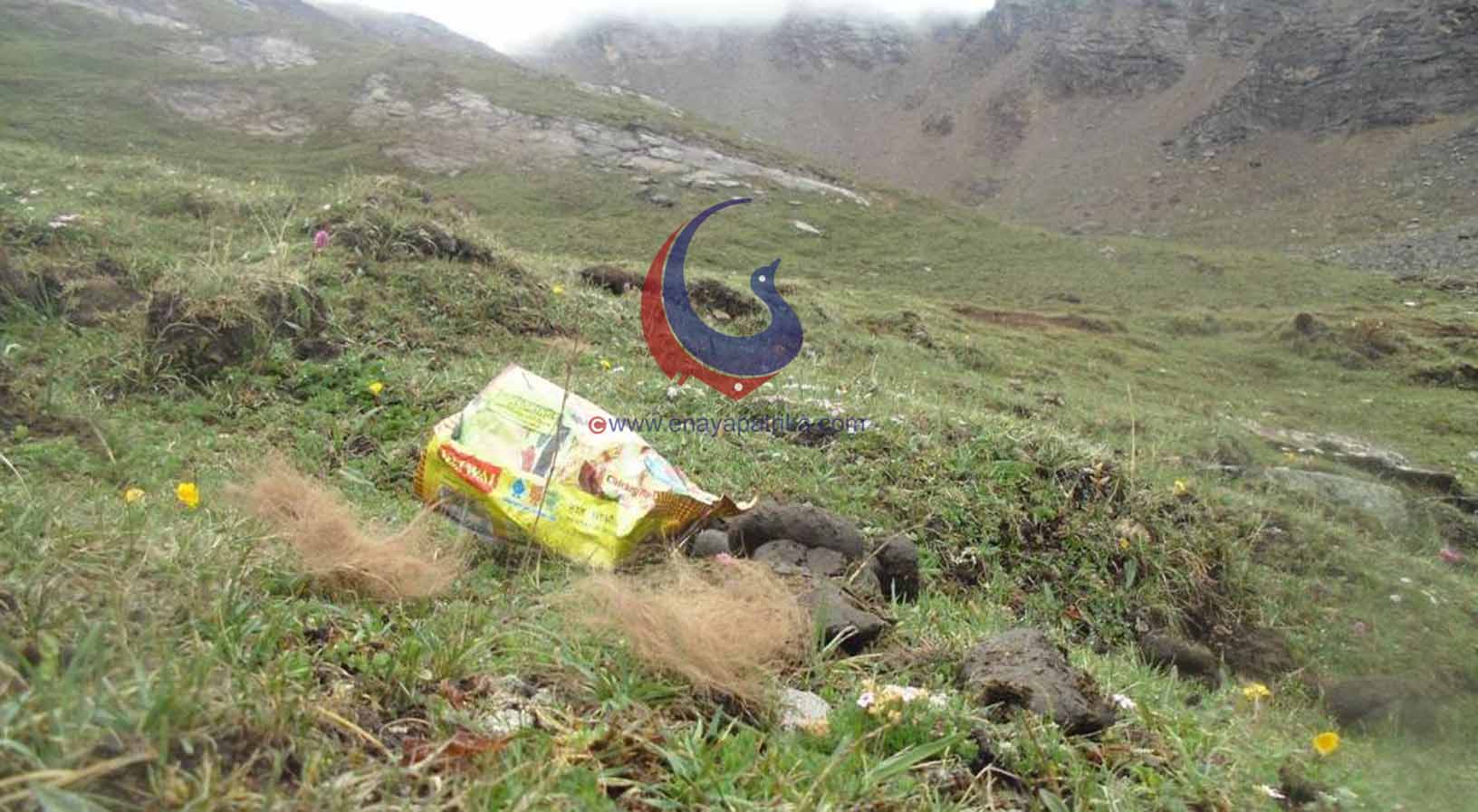 यार्सागुम्बाको अव्यवस्थित संकलनले जैविक विविधता नाश हुँदै