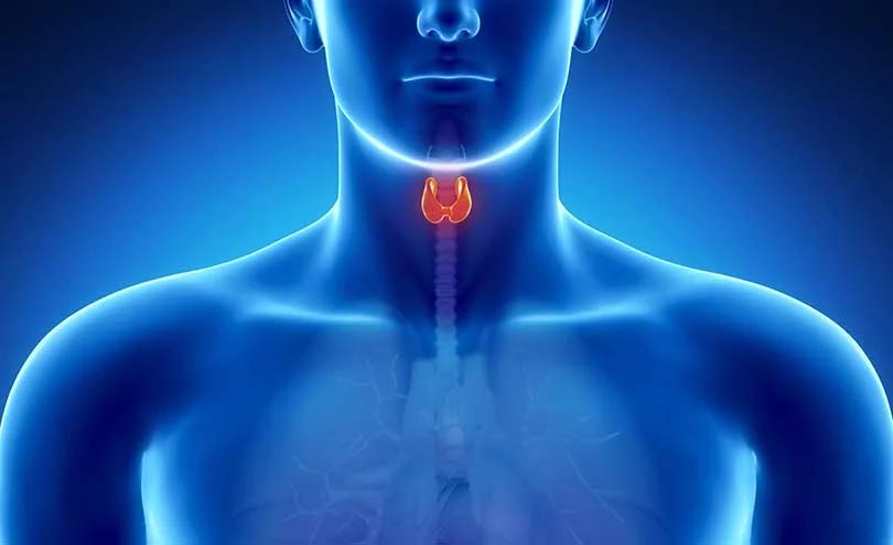 यस्तो लक्षण देखिए बुझौं, थाइराइड भएको छ