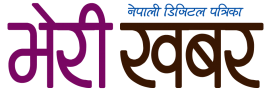 डोल्पाका प्रहरीको उदाहारणीय कामः देउसीभैलो खेलेर नगरका पोल–पोलमा बत्ती जडान !