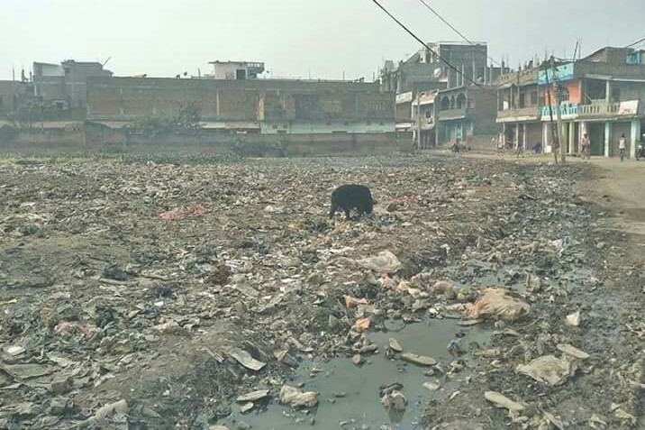 जनकपुरको आठवटा वडामा निजी साझेदारीअन्तर्गत भइरहेको फोहोर व्यवस्थापनको काम पनि फितलो