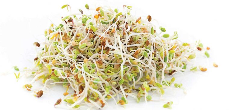 ग्यास्ट्राइटिस भए के खाने