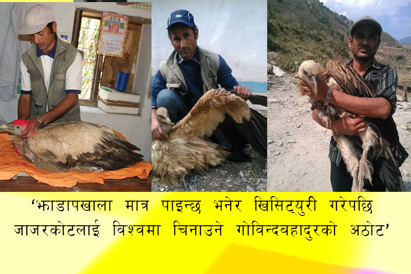 अहोरात्र दुर्लभ चराको खोजीमा गोविन्दबहादुर, आधा कमाइ चराको सेवामा