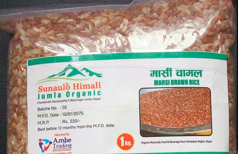 ओली र प्रचण्डको नाम जोडिएपछि मार्सी चामलको मूल्य बढ्यो, किसान उत्साहित