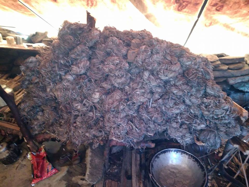 जडीबुटी चोरी निकासी