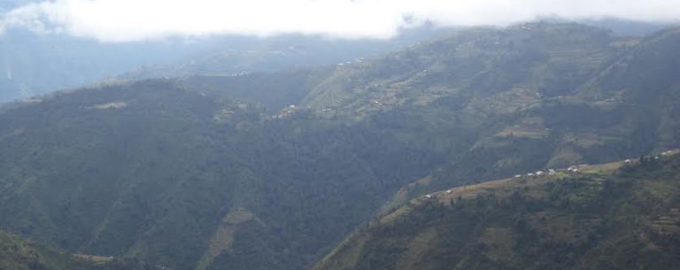 रुकुम पूर्व चुनवाङलाई लसुनको पकेट क्षेत्र बनाउने
