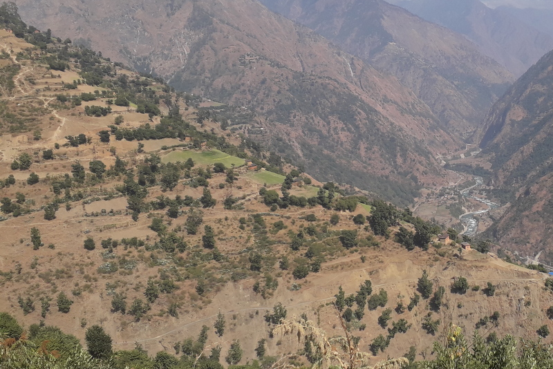 जीवनस्तर उकास्‍ने माध्यम बन्यो लसुनखेती