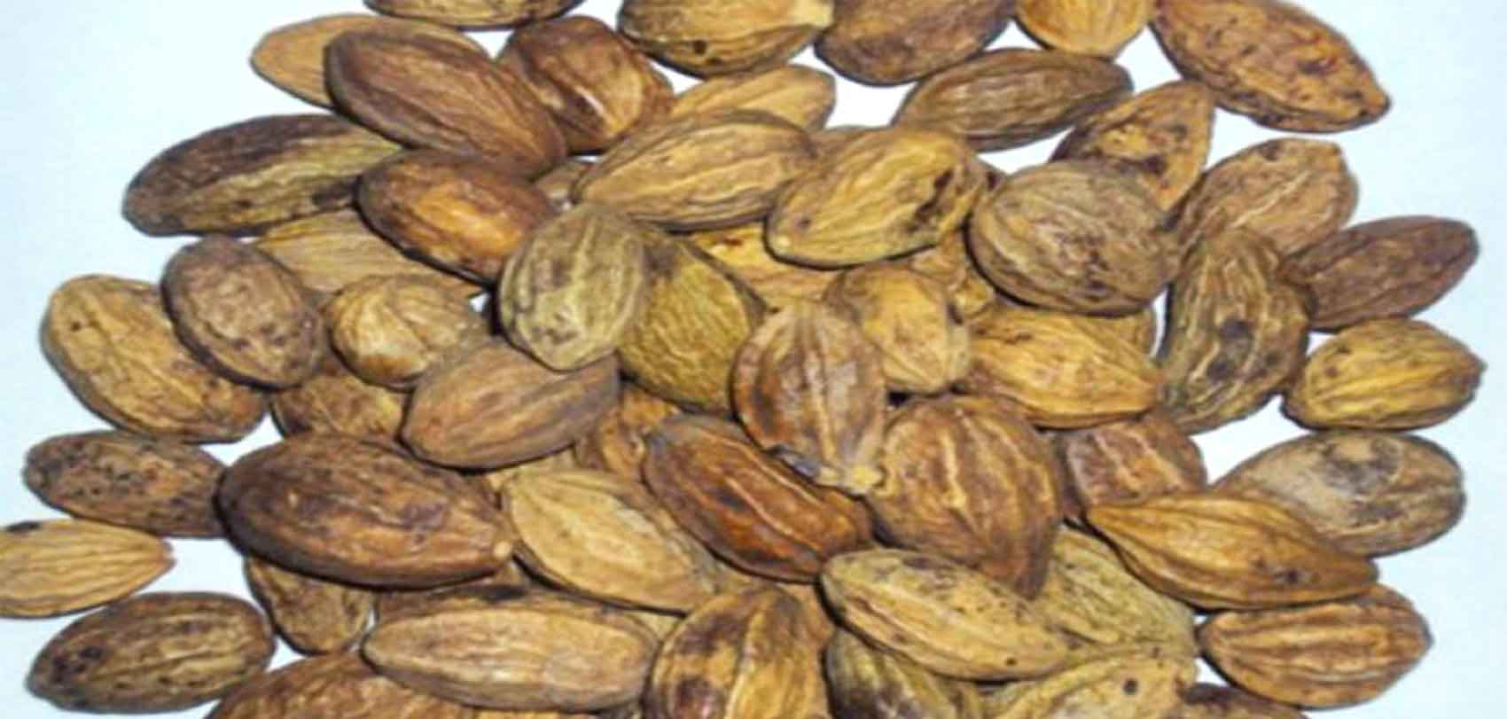 हर्रो–बर्रोमा  यी औषधीय गुण