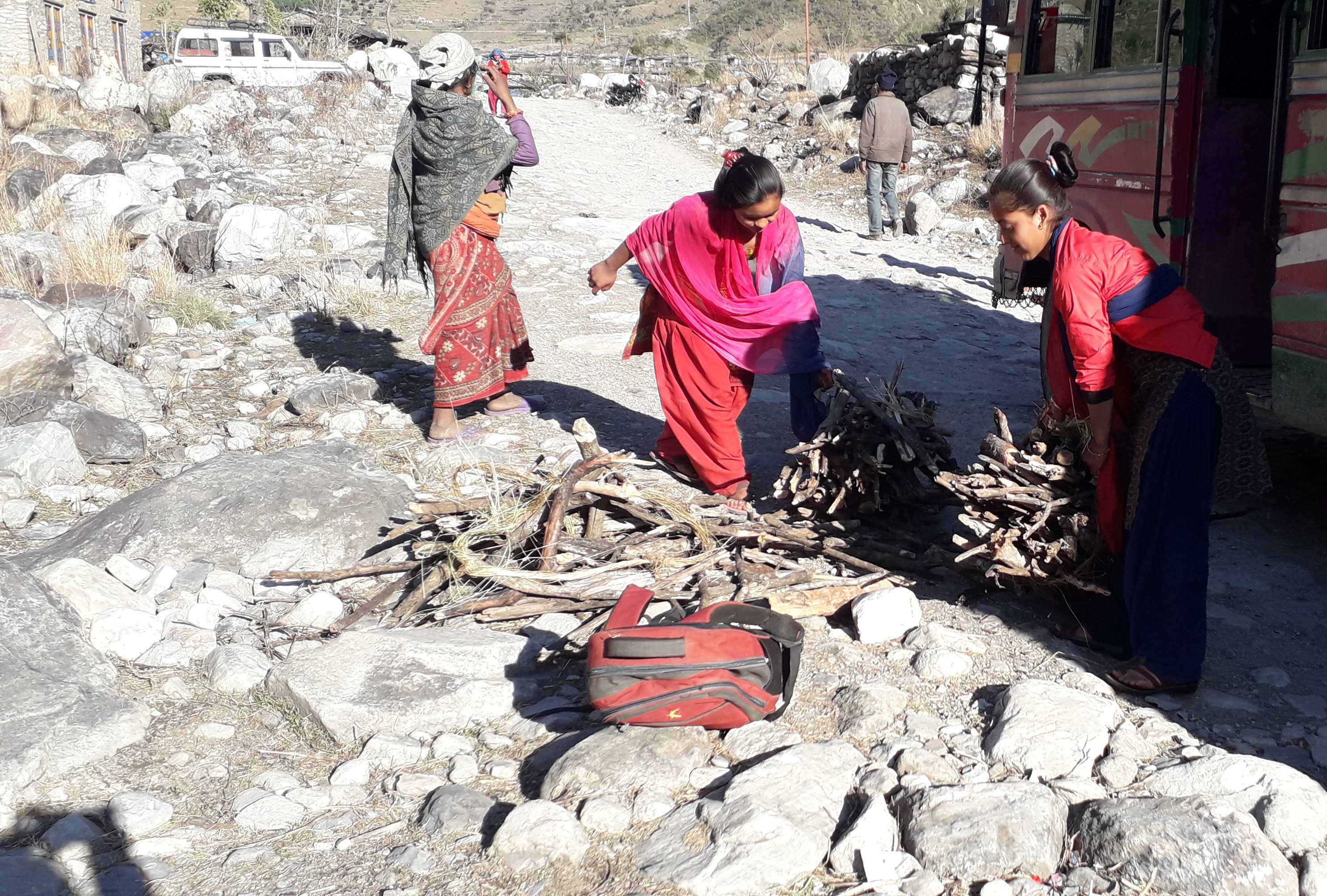 जङ्गलबाट दाउरा जुटाएर परीक्षाको तयारी !