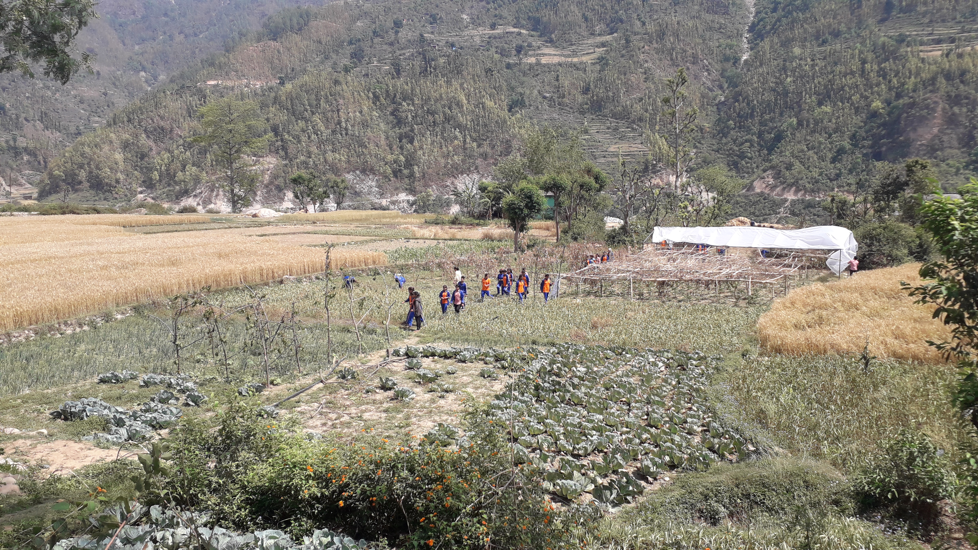 जहाँ पढाई सँगै सीप सिक्दै कमाउँछन् विद्यार्थी
