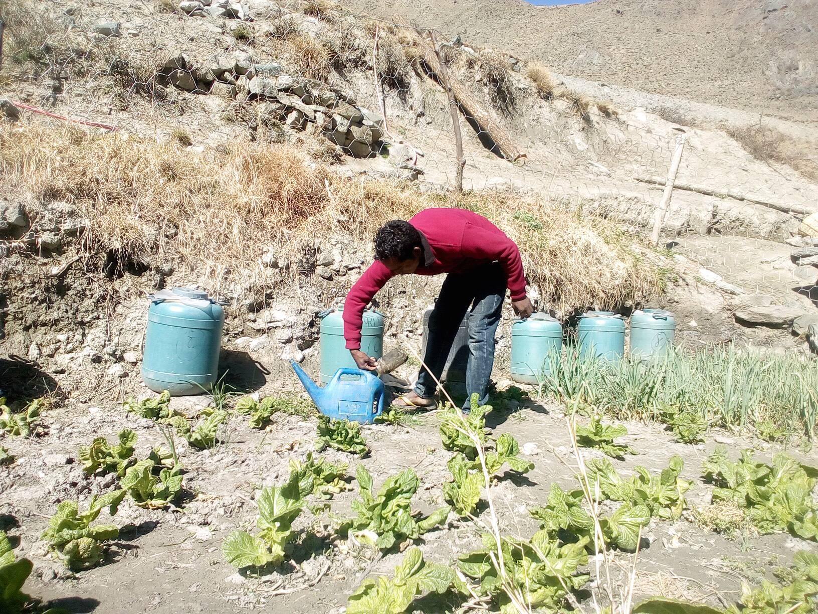 अर्गानिक विषादीले आयातिम आयातित रासानिक मल विस्थापित हुँदै