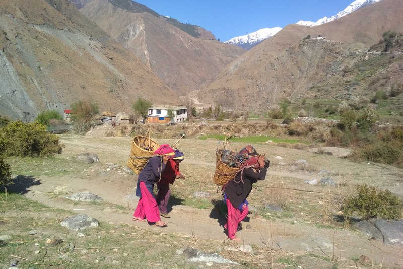 फलफुलमा नगरको लाख्यौं खर्च