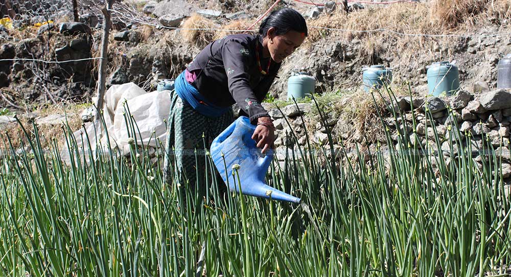 जैविक बिषादीको प्रयोगमा कृषक आकर्षित