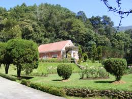 वृक्षरोपण वर्ष’मा चार करोड बिरुवा रोप्ने तयारी