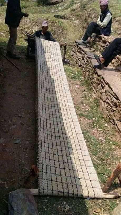 ओइलायो विएको प्रमाण पत्र ,फस्टायो राडीपाखी