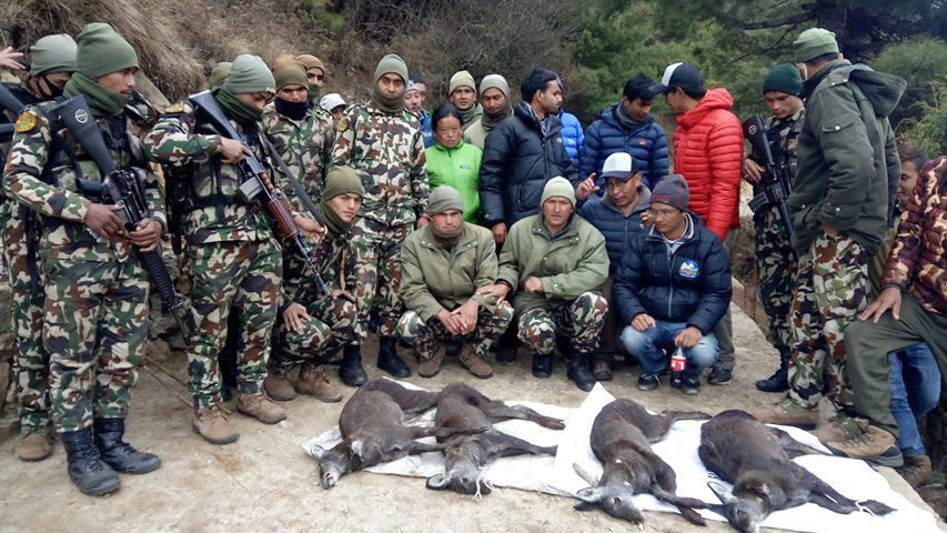 प्रकृतिमा तस्करको आँखा