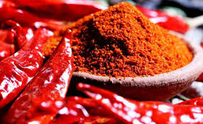 नगरप्रमुखमाथि खुर्सानीको धुलो प्रहार