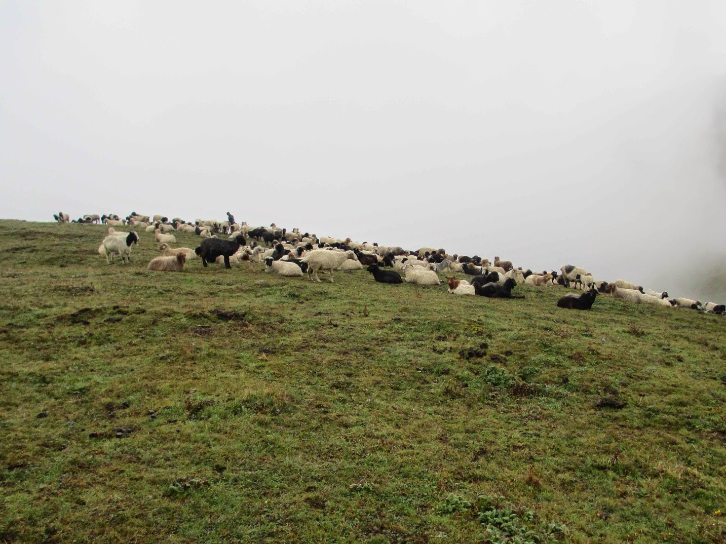 गाउँ सुनसान, पाटन भरिभराउ