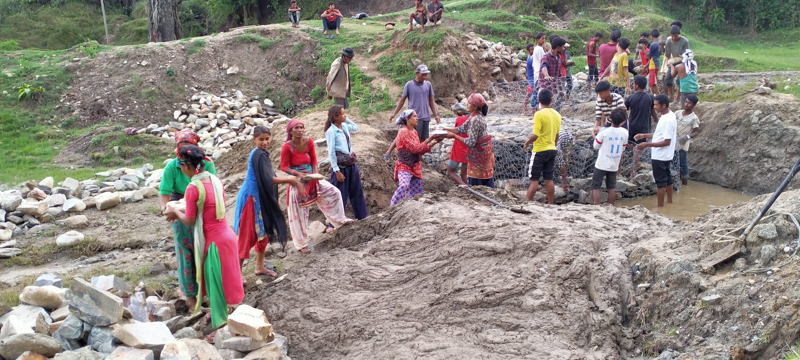 जग्गा जोगाउन तारजाली