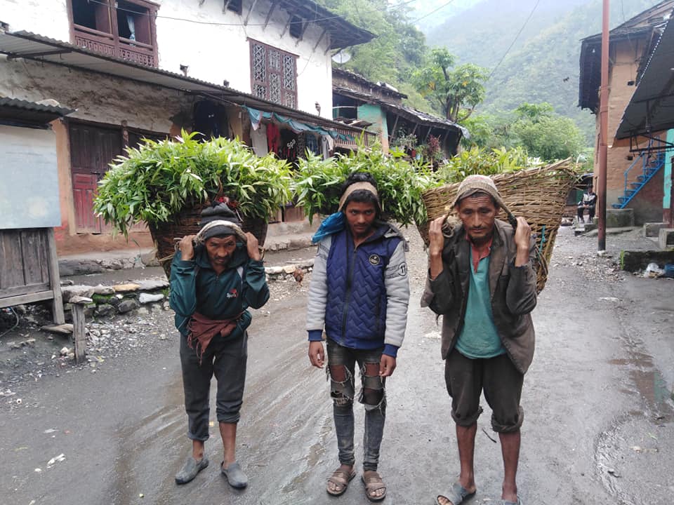 तीन वर्षमा व्यवसायिक कृषक बनाउन नमुना कृषि कार्यक्रम