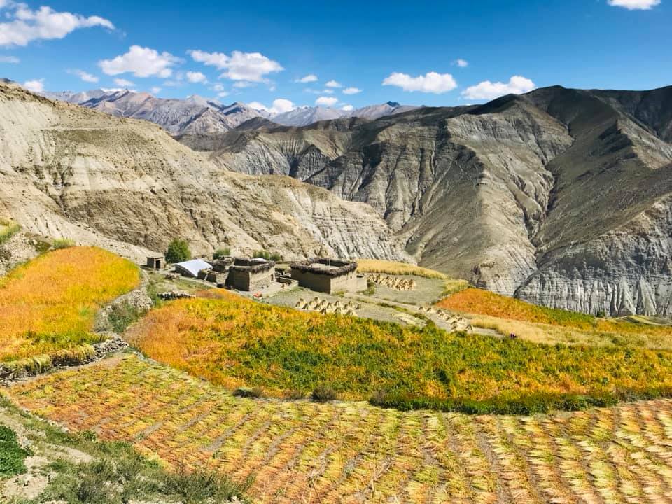 उवा भित्र्याउदै उपल्लो डोल्पामा