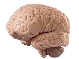 के हो मस्तिष्कघात, किन हुन्छ ?  के  हुन् लक्षण ?