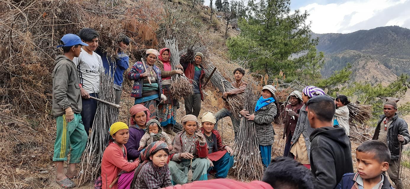 मुड्केचुलामा स्याउका विरुवा वितरण हुँदै