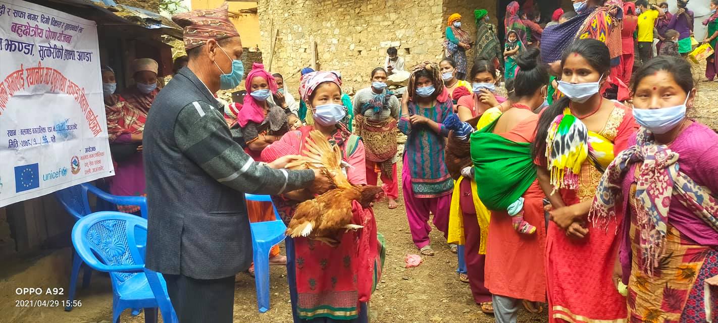 आमाहरुलाइ कुखुरा वितरण गर्नुहुँदै नगरप्रमुख रावल