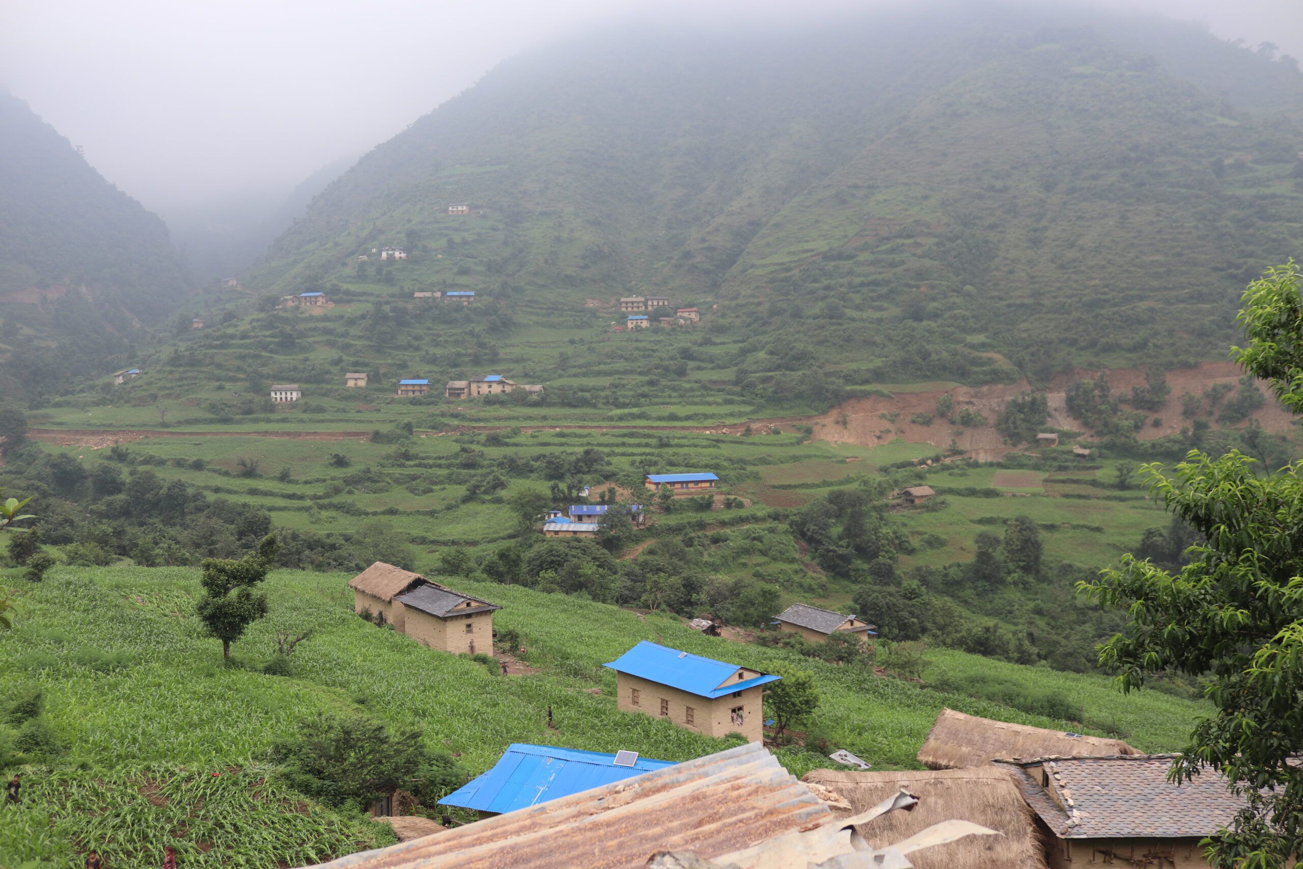 कत्तै सडकपुगे सँगै खुसी , कत्तै बर्षेझरिमा मकै गोड्दै