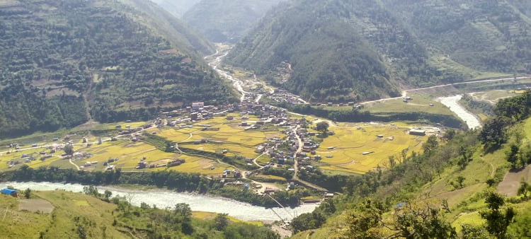 खाद्यान्न अभाव हुने ठाउँमै धान नष्ट भएपछि