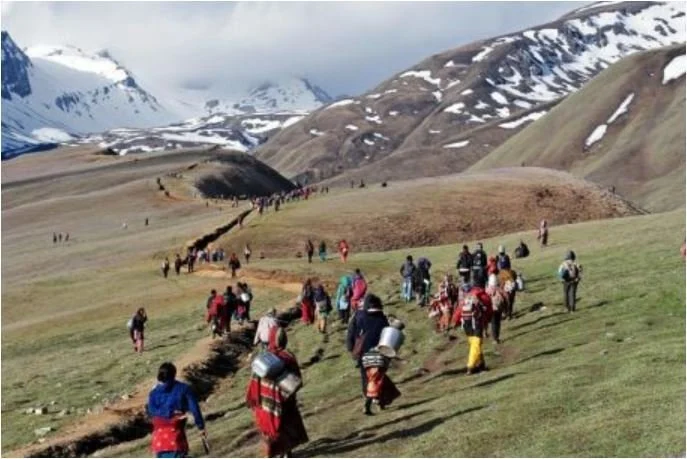 मुगुको पाटनमा यार्सा टिप्न पुगेकाको दुर्घटना बीमा