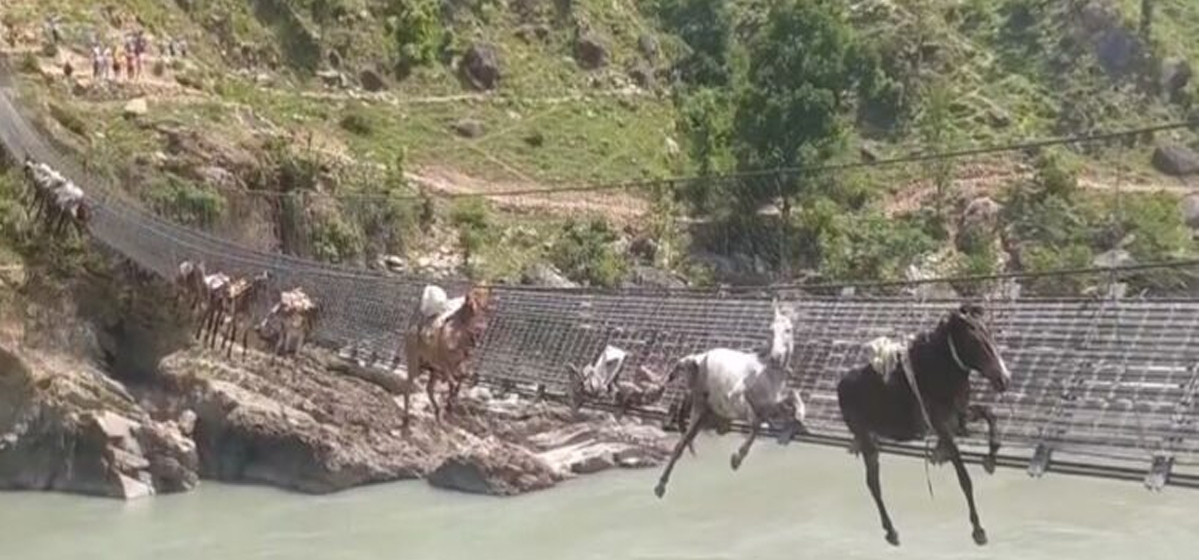 सात महिना बित्यो तर मर्मत भएन खच्चड फसेको पुल