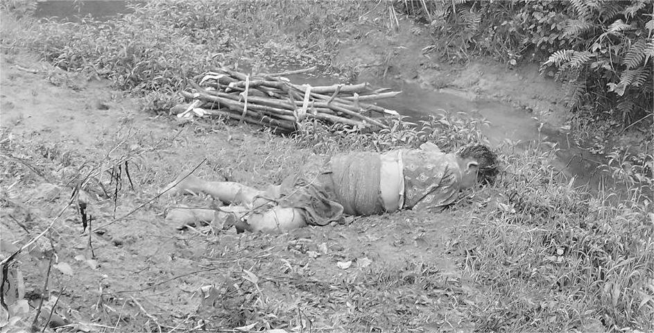 हात्तीको आक्रमणबाट एक महिलाको मृत्यु