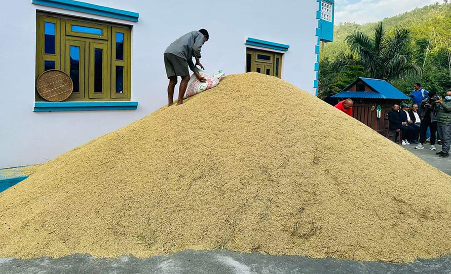 एस कर्णालीमा २२१ मेट्रिक टन धान उत्पादन
