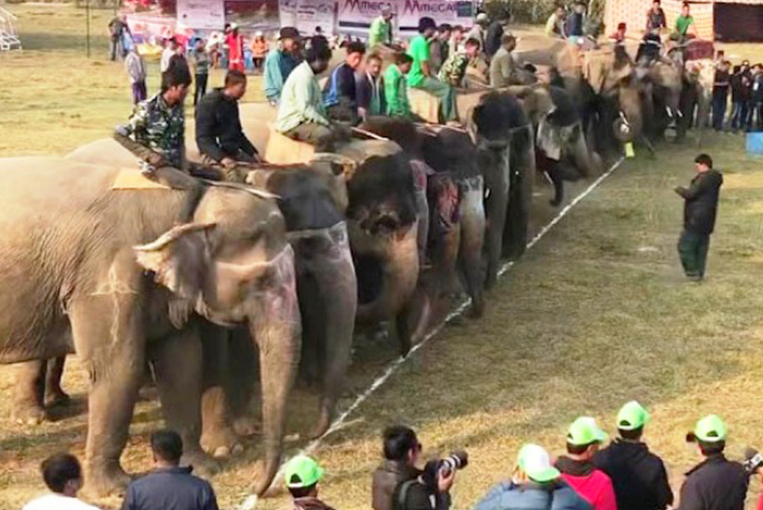 चितवन हात्ती तथा पर्यटन महोत्सव पशुअधिकारमैत्री बनाइने