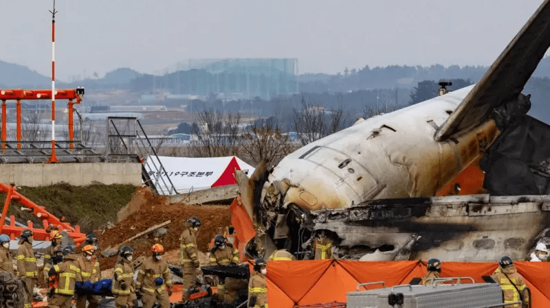दक्षिण कोरियामा विमान दुर्घटनामा १ सय ७९ जनाको मृत्यु, २ जना बाँचे