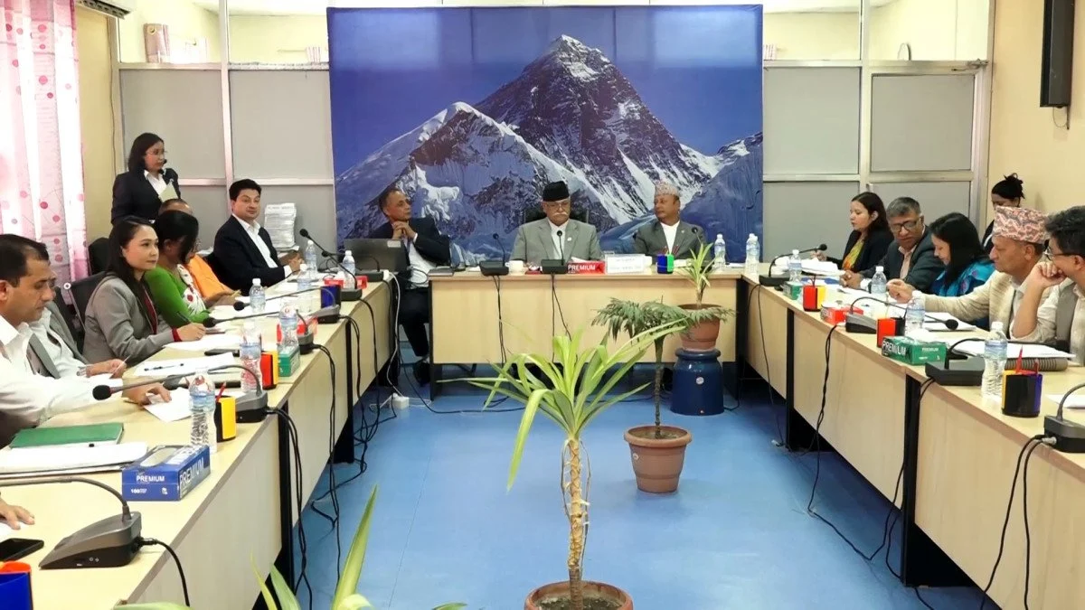 मन्त्रिपरिषद बैठकका २० निर्णय ः राखेपको उपाध्यक्षमा ध्रुव आचार्य नियुक्त (पूर्णपाठ)