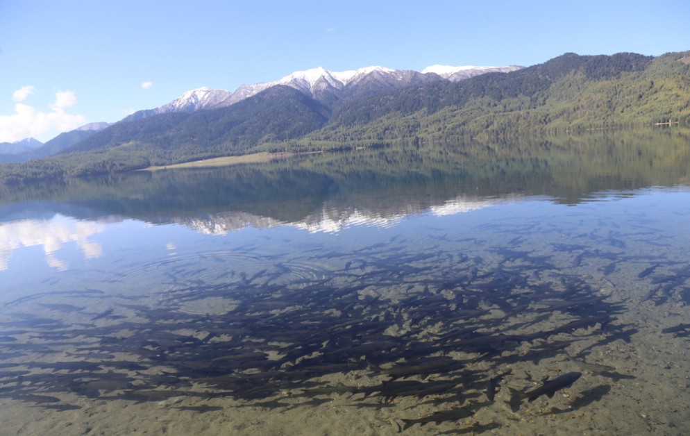 भेट्नै गाह्रो रारा र कर्णालीमा असला